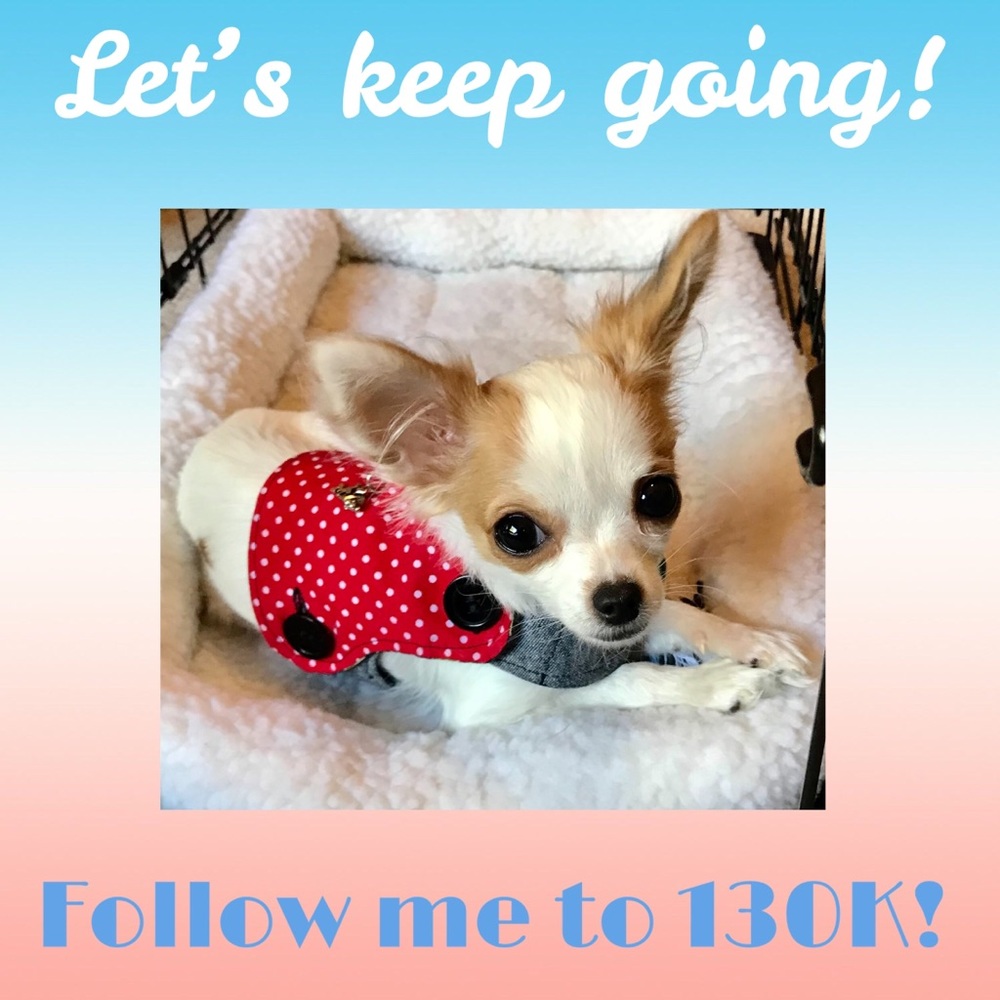 💜 Follow me to 250K! 💗 - Picture 6 of 12